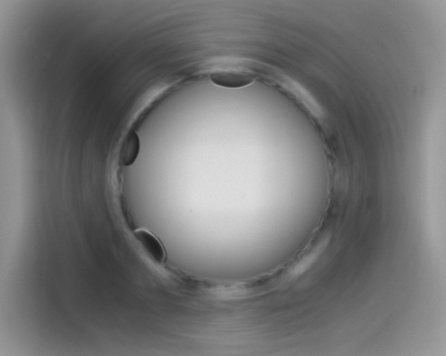 X0000114500893200910191134