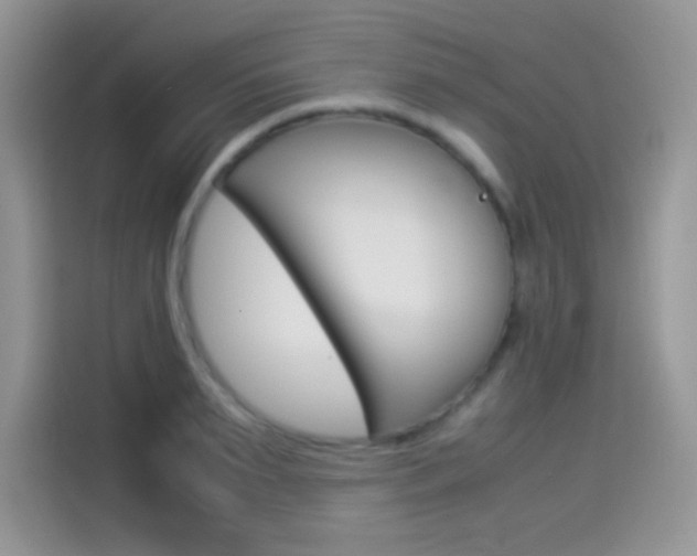 X0000114500895200910191134