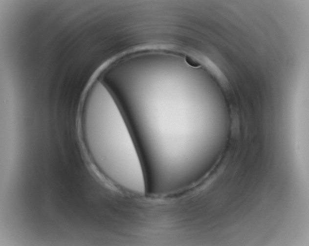 X0000114500896200910191134