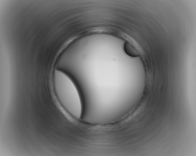 X0000114500898200910191134