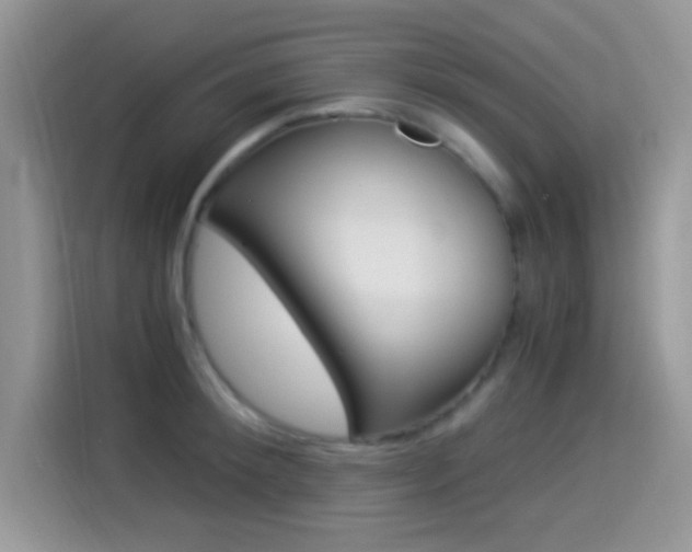 X0000114500900200910191134