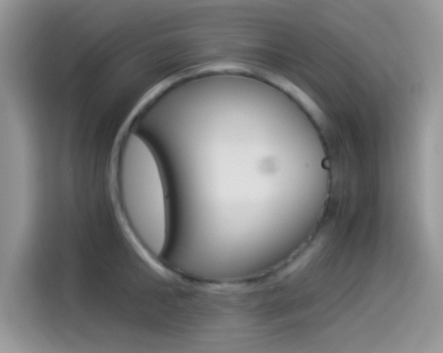 X0000114500902200910191134