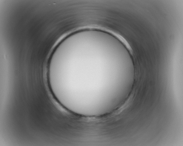 X0000114500903200910191134