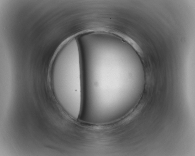 X0000114500904200910191134
