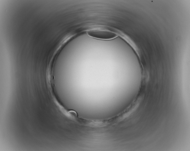 X0000114500909200910191134