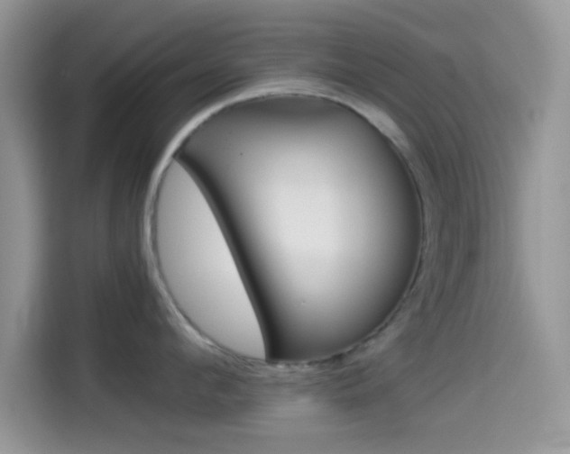 X0000114500912200910191134