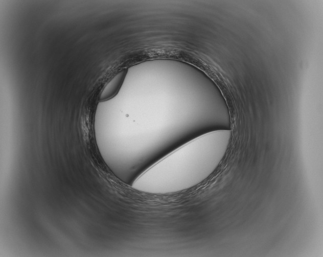 X0000114500915200910191133