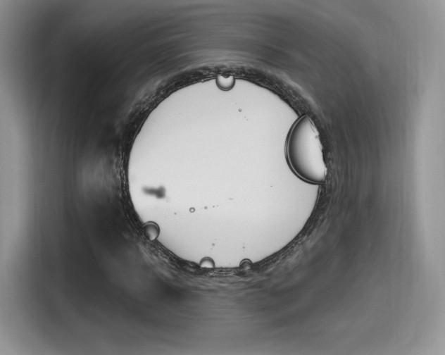X0000114500918200910191133