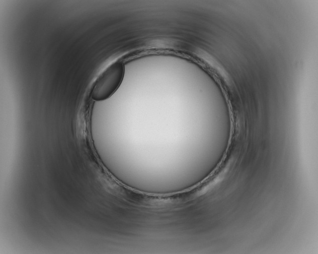 X0000114500925200910191133