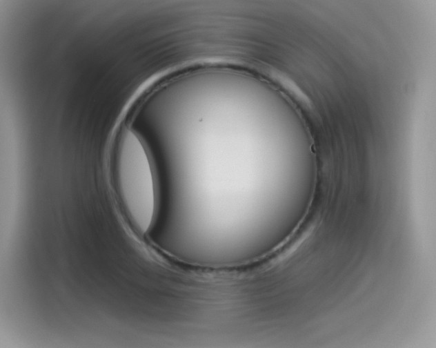 X0000114500934200910191134