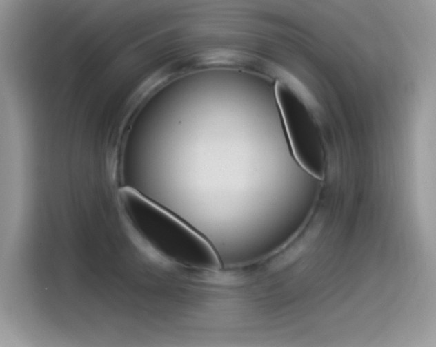 X0000114500946200910191134