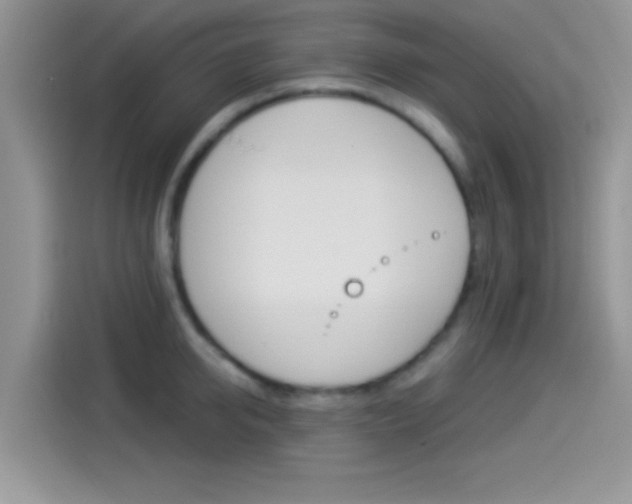 X0000114500950200910191134