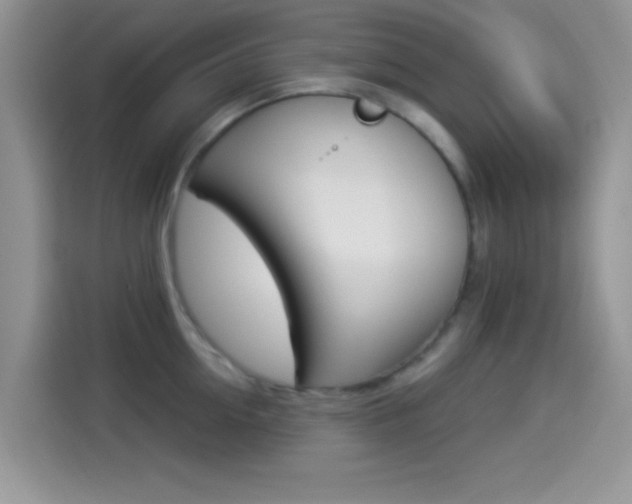 X0000114500954200910191134