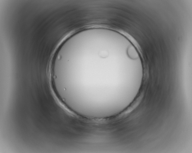 X0000114500957200910191134