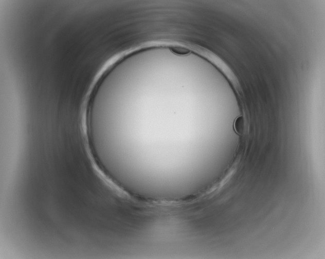 X0000114500958200910191134