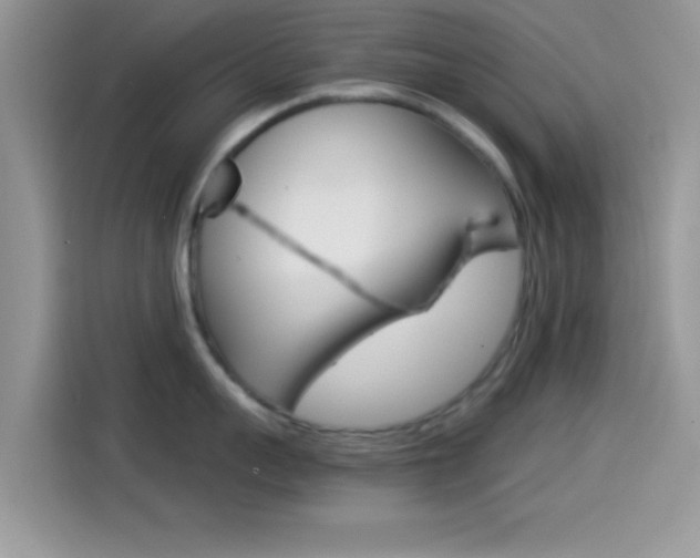 X0000114500959200910191134