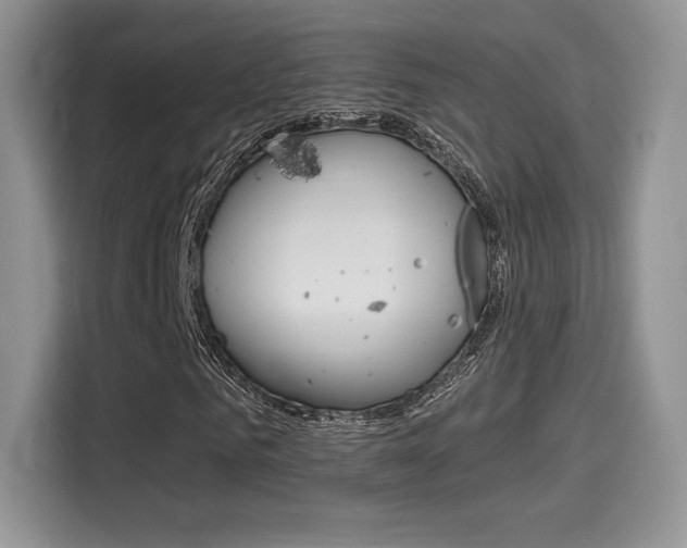 X0000114500961200910191133