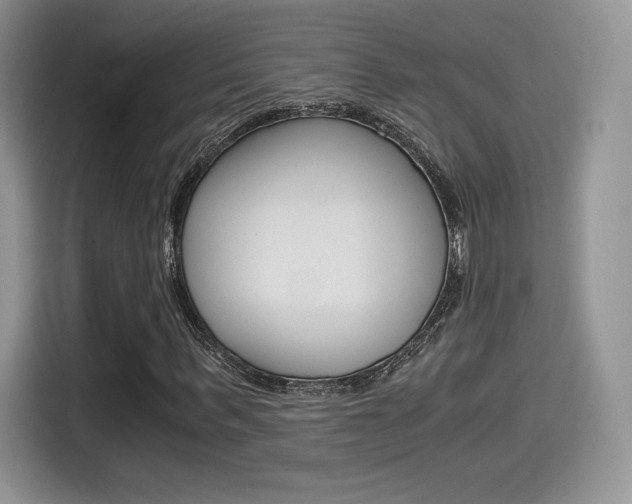 X0000114500963200910191133