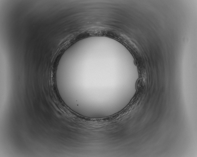 X0000114500964200910191133