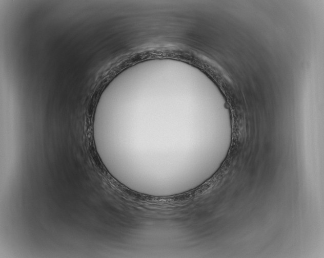 X0000114500966200910191133