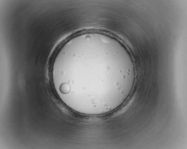X0000114500974200910191133