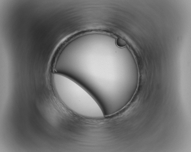 X0000114500975200910191133