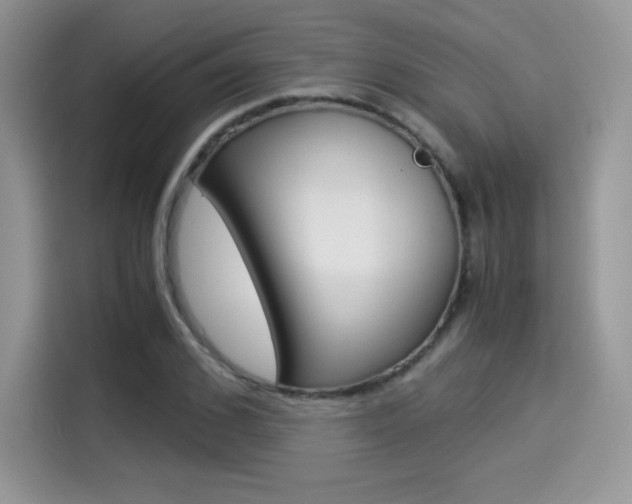 X0000114500976200910191133