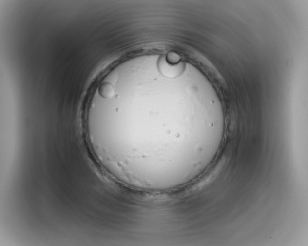 X0000114500978200910191133