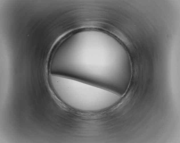 X0000114500980200910191133