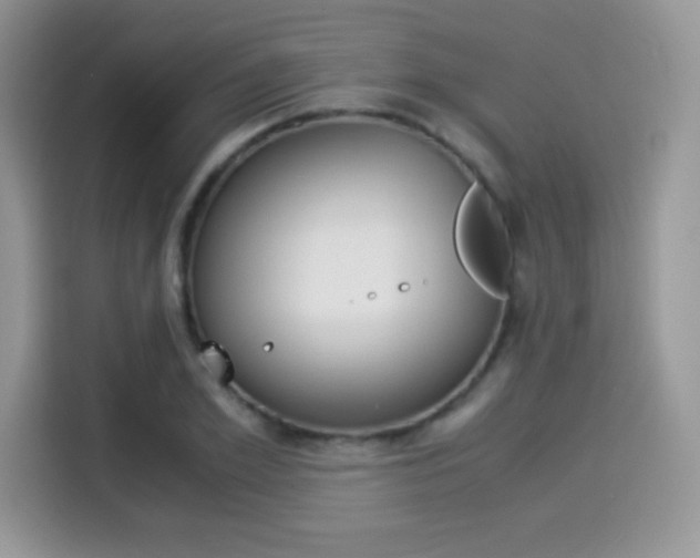 X0000114500981200910191133
