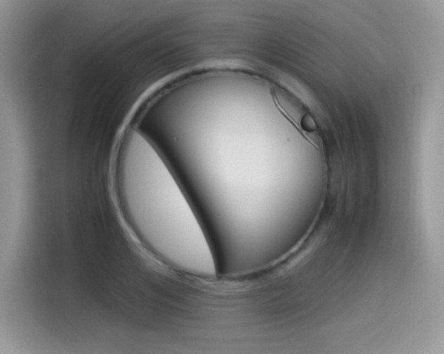 X0000114500984200910191133