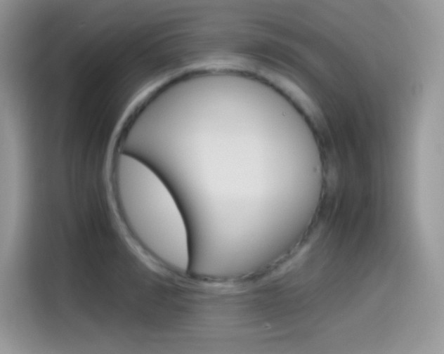 X0000114500990200910191133