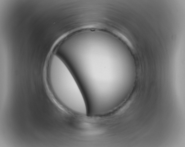 X0000114500991200910191133