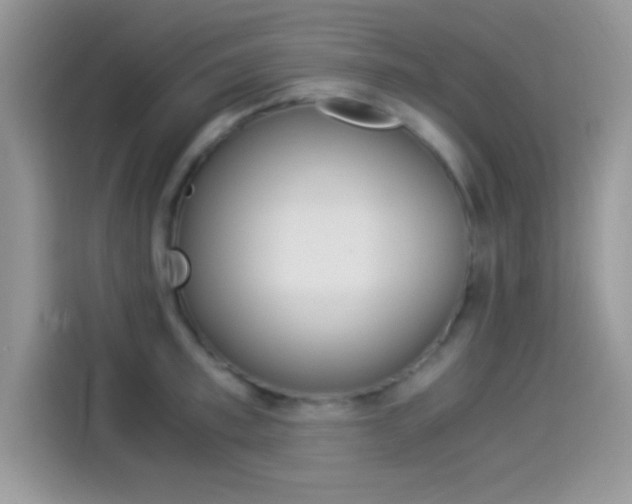 X0000114500997200910191133