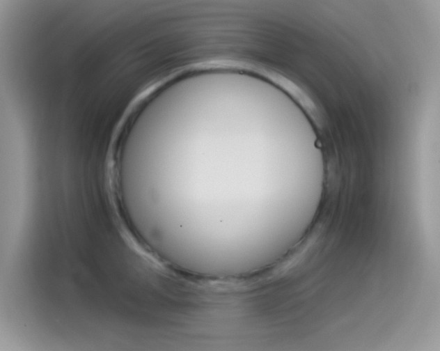 X0000114500998200910191133