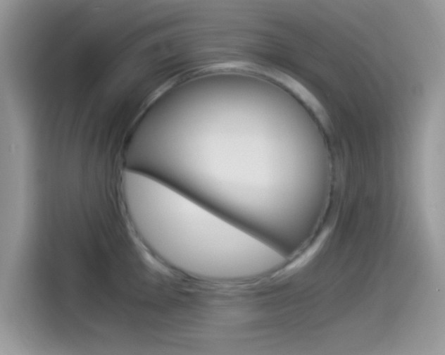X0000114501001200910191133