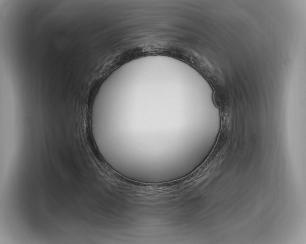 X0000114501012200910191132