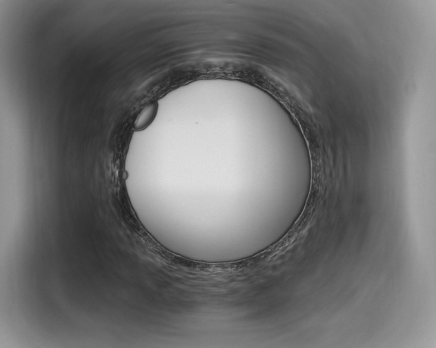 X0000114501013200910191132
