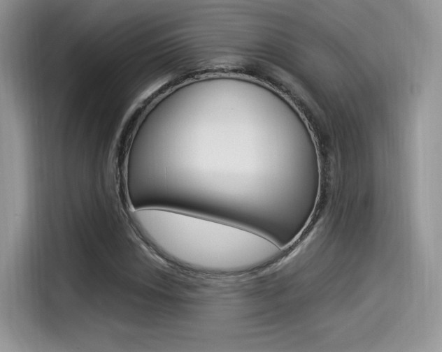 X0000114501018200910191132