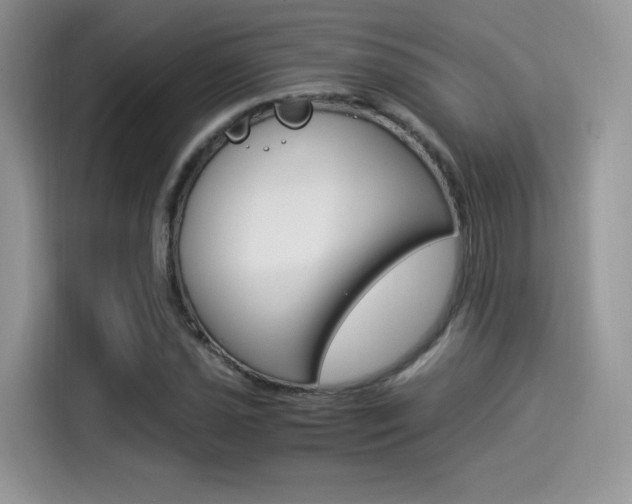 X0000114501021200910191132