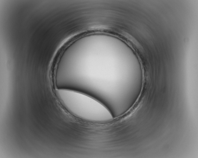 X0000114501022200910191132