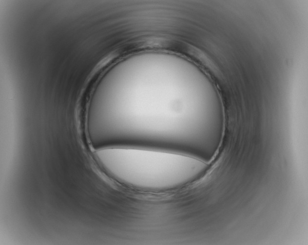 X0000114501026200910191132