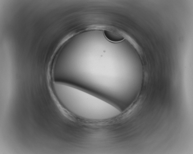 X0000114501050200910191133