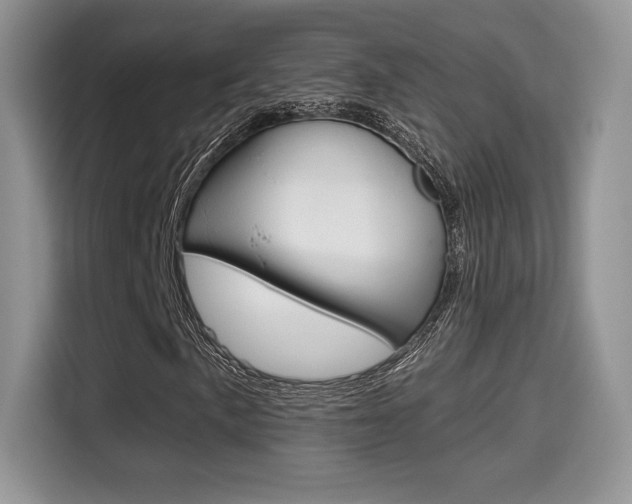 X0000114501057200910191132