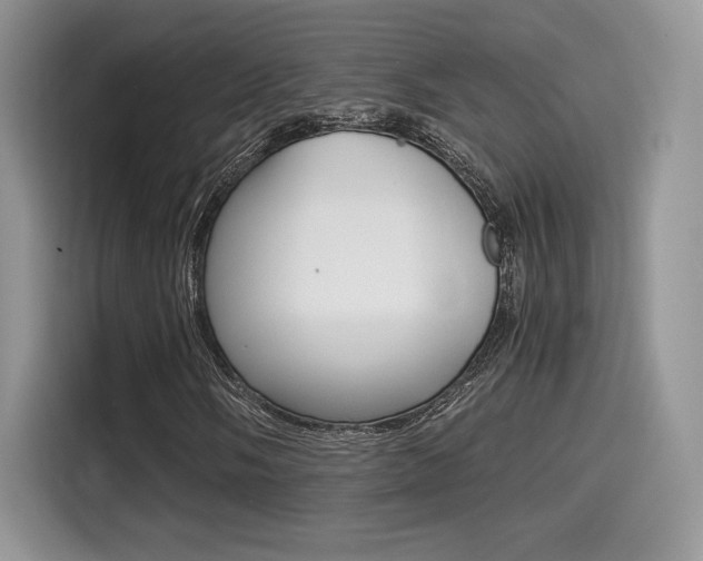 X0000114501058200910191132