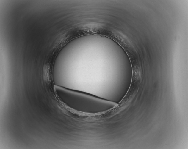 X0000114501060200910191132