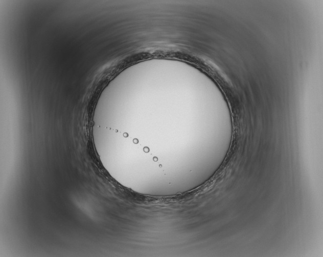 X0000114501063200910191132