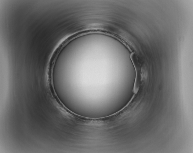 X0000114501068200910191132
