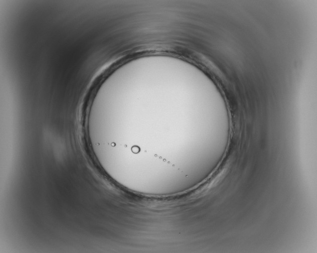 X0000114501071200910191132