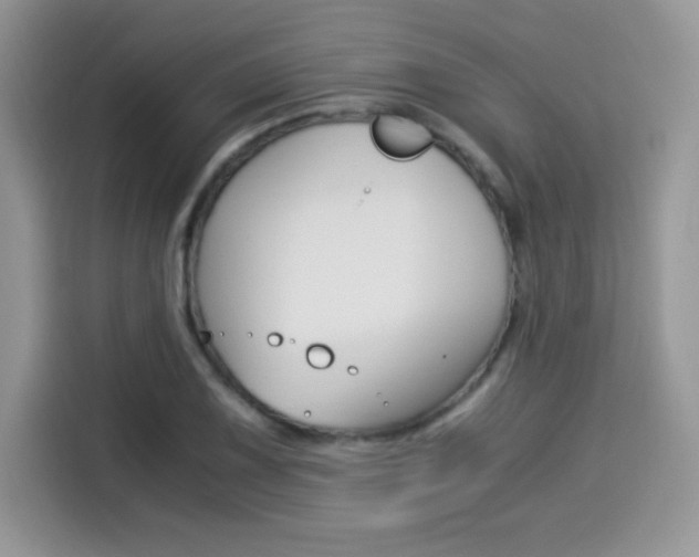 X0000114501075200910191132